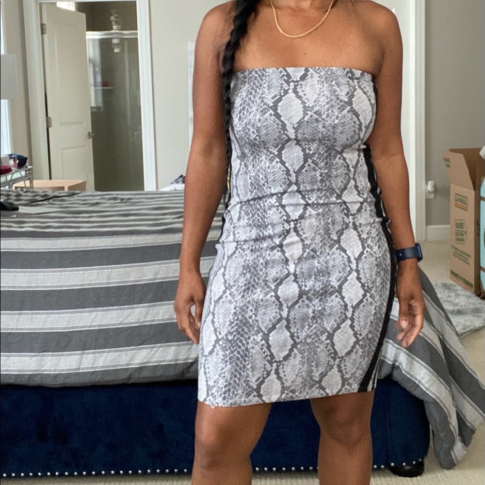 Express snake skin dress